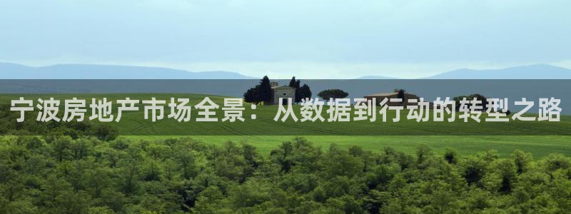 香港和记官网：宁波房地产市场全景：从数据到行动的转型之路