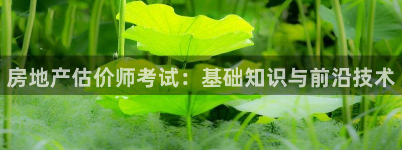 和记官网app是谁的：房地产估价师考试：基础知识与前沿技术