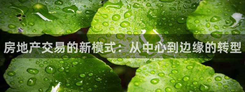 和记黄埔官网攻略：房地产交易的新模式：从中心到边缘的转型