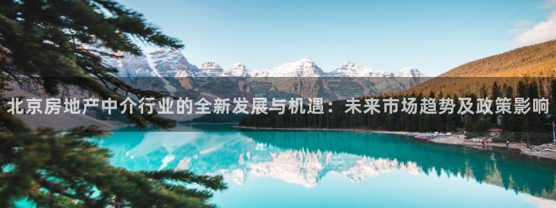 和记娱乐 怡情搏娱官网：北京房地产中介行业的全新发展与机遇：