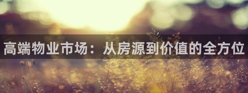 和黄记官网：高端物业市场：从房源到价值的全方位