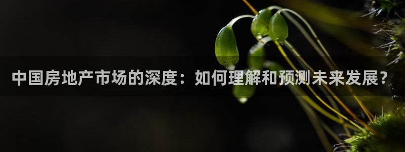 和记娱乐怡情官网