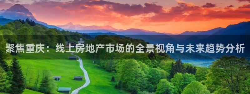 郑州和记酒业官网：聚焦重庆：线上房地产市场的全景视角与未来趋