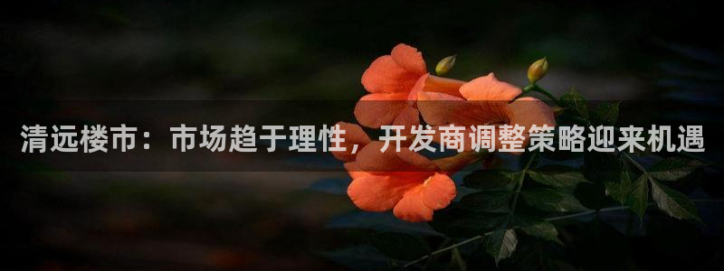 澳门和记官网：清远楼市：市场趋于理性，开发商调整策略迎来机遇