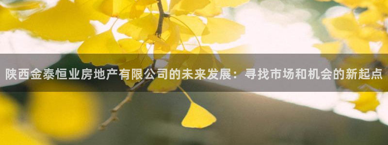 和记3官网：陕西金泰恒业房地产有限公司的未来发展：寻找市场和