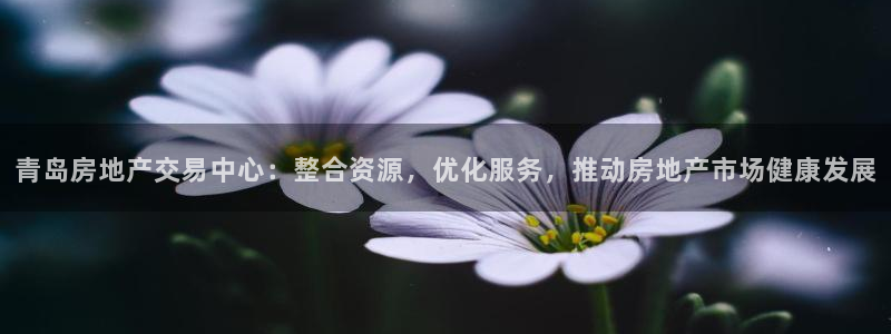 武汉和记黄埔官网