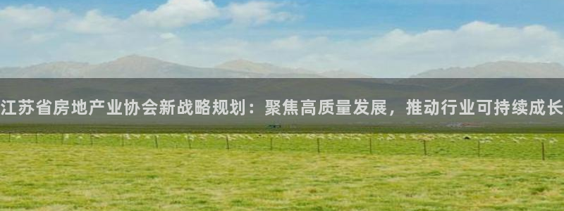 上海和记官网：江苏省房地产业协会新战略规划：聚焦高质量发展，