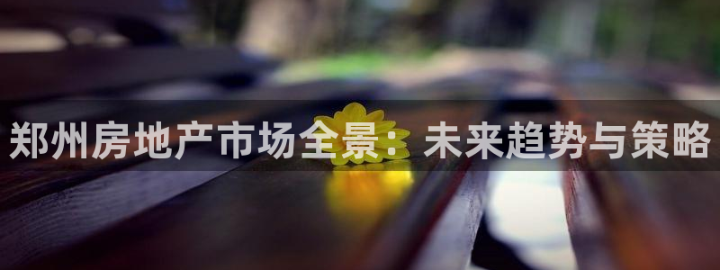 和记大合城dk2官网：郑州房地产市场全景：未来趋势与策略