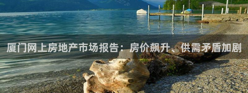 和记国际有限公司官网：厦门网上房地产市场报告：房价飙升、供需