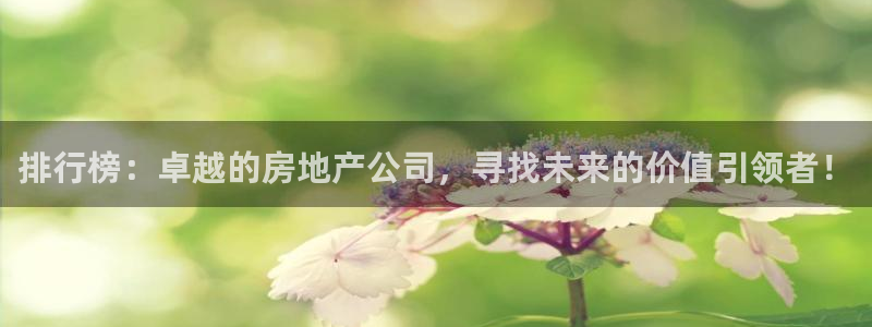 和记娱乐app官网登录：排行榜：卓越的房地产公司，寻找未来的