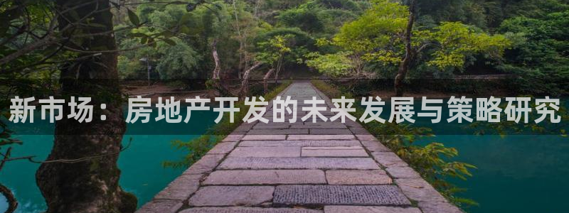 香港和记3hk官网：新市场：房地产开发的未来发展与策略研究
