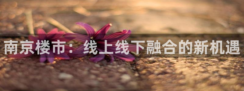 和记官网开户：南京楼市：线上线下融合的新机遇