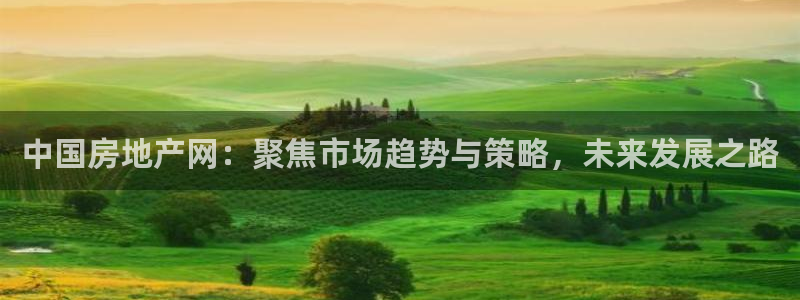 和记怡情博娱中国官网：中国房地产网：聚焦市场趋势与策略，未来