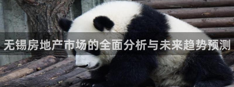 和记娱精湛h88285官网：无锡房地产市场的全面分析与未来趋