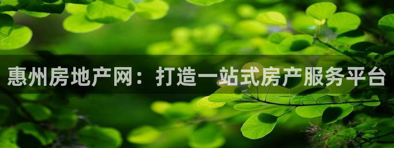 元和记官网：惠州房地产网：打造一站式房产服务平台
