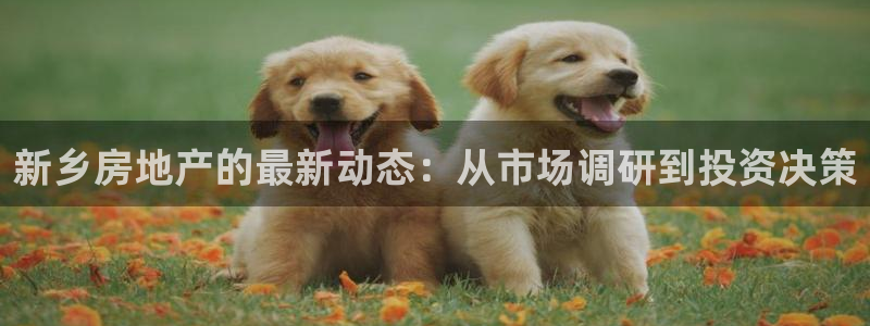 和记黄埔武汉官网：新乡房地产的最新动态：从市场调研到投资决策