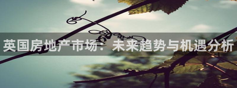 和记娱乐网官网：英国房地产市场：未来趋势与机遇分析