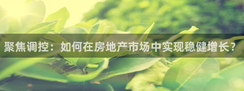 h88和记官网：聚焦调控：如何在房地产市场中实现稳健增长？