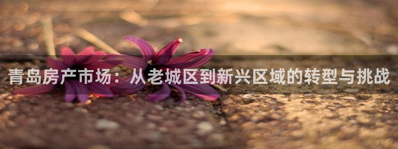 和记网站官网：青岛房产市场：从老城区到新兴区域的转型与挑战