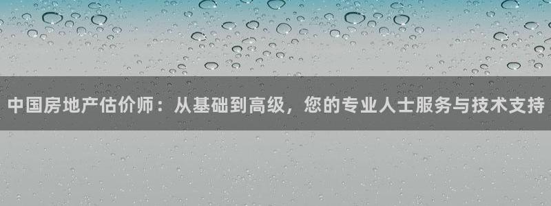 3和记官网：中国房地产估价师：从基础到高级，您的专业人士服务