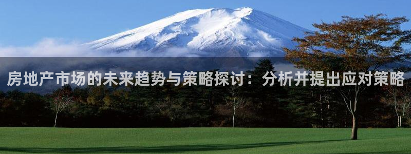 和记电讯three官网：房地产市场的未来趋势与策略探讨：分析