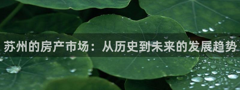 和记app官方官网登录：苏州的房产市场：从历史到未来的发展趋