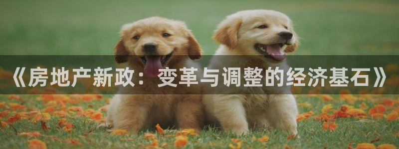 和记官网开户：《房地产新政：变革与调整的经济基石》
