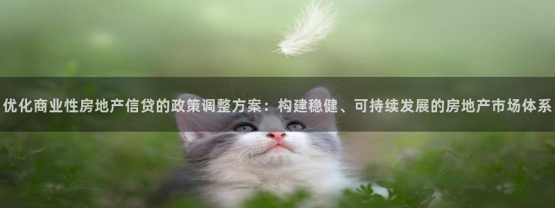 香港和记通讯官网：优化商业性房地产信贷的政策调整方案：构建稳