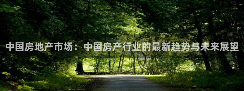 和记黄埔 成都 官网：中国房地产市场：中国房产行业的最新趋势