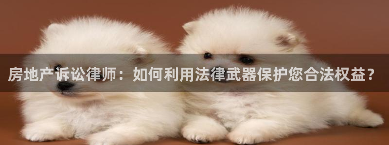 和记电讯香港官网：房地产诉讼律师：如何利用法律武器保护您合法