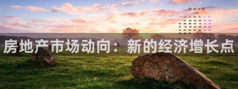 和记平台官网：房地产市场动向：新的经济增长点