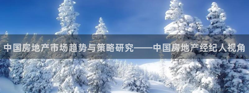 和记手游官网：中国房地产市场趋势与策略研究——中国房地产经纪