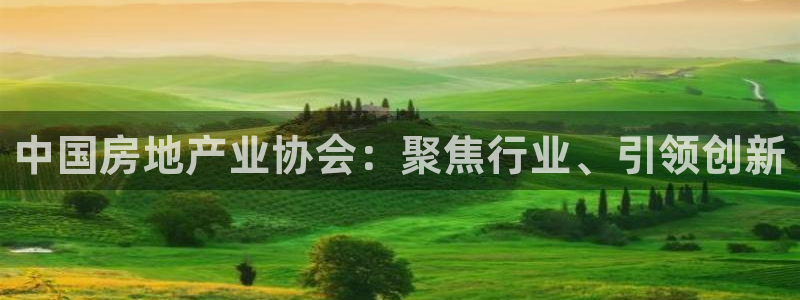 香港和记通讯官网：中国房地产业协会：聚焦行业、引领创新