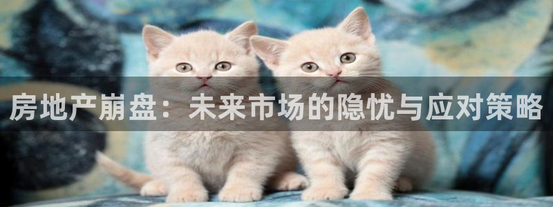 和记官网手机版下载：房地产崩盘：未来市场的隐忧与应对策略