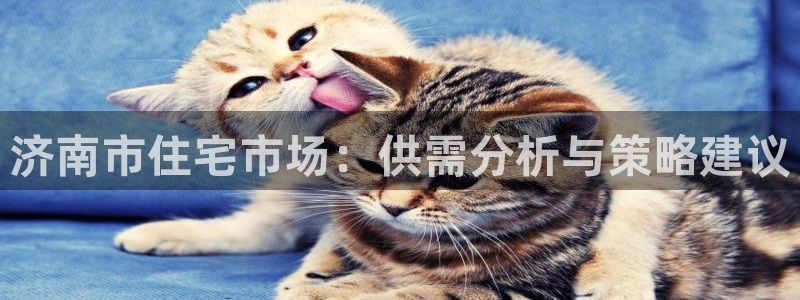 和记怡情视频在线官网：济南市住宅市场：供需分析与策略建议