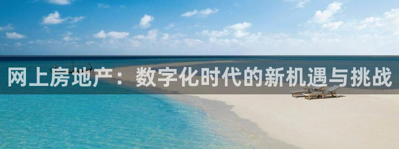 和元李记官网：网上房地产：数字化时代的新机遇与挑战