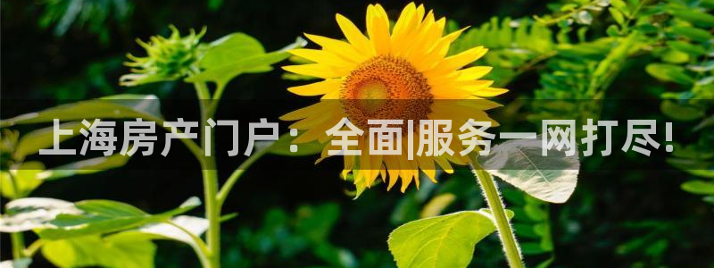 菲律宾和记官网：上海房产门户：全面|服务一网打尽!