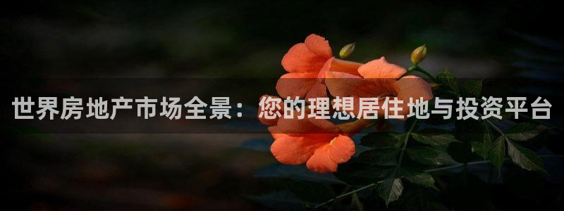 和记娱可信赖h88285官网：世界房地产市场全景：您的理想居
