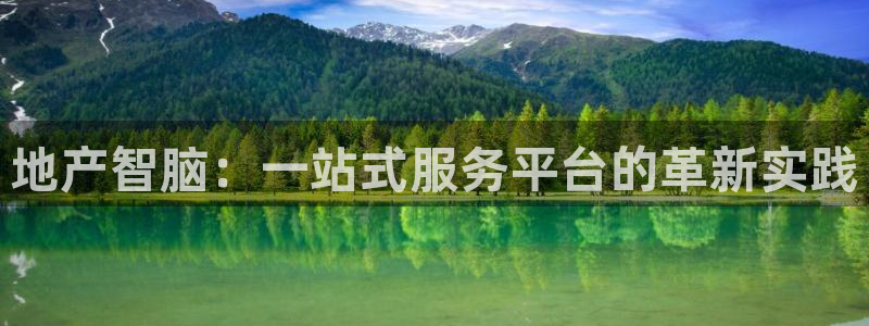 和记黄浦官网：地产智脑：一站式服务平台的革新实践