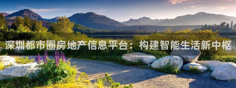 香港和记电讯官网：深圳都市圈房地产信息平台：构建智能生活新中