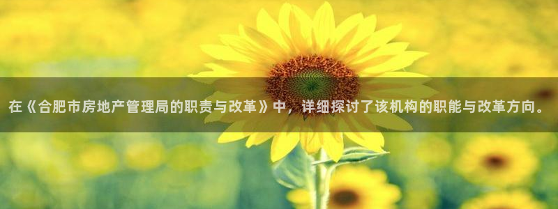 和记环球电讯官网：在《合肥市房地产管理局的职责与改革》中，详
