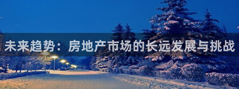 和记官网是一个什么平台：未来趋势：房地产市场的长远发展与挑战