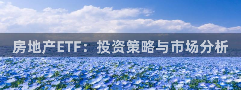 和记官网手机版：房地产ETF：投资策略与市场分析