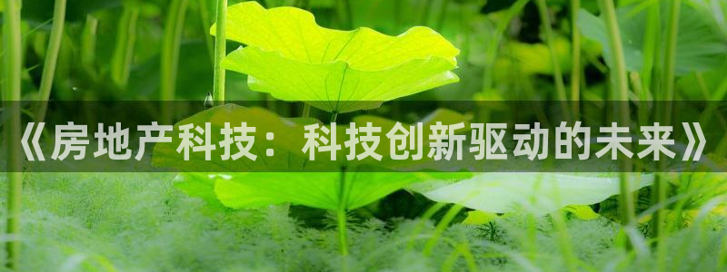 和记娱可信赖h88285官网：《房地产科技：科技创新驱动的未
