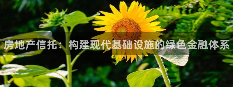 和记家家加盟官网：房地产信托：构建现代基础设施的绿色金融体系