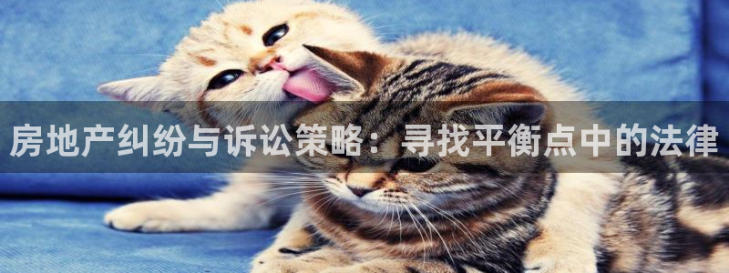 和记官网和记：房地产纠纷与诉讼策略：寻找平衡点中的法律