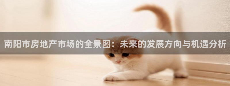 和记开户官网：南阳市房地产市场的全景图：未来的发展方向与机遇