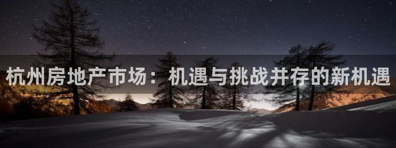 下载和记官网：杭州房地产市场：机遇与挑战并存的新机遇