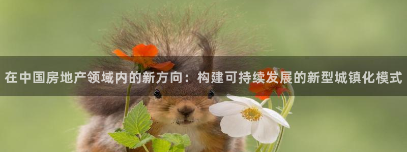 和记官网开户 银博网：在中国房地产领域内的新方向：构建可持续