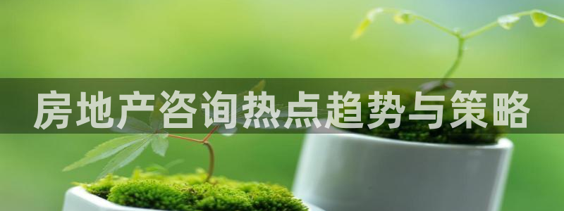 和记娱等级h88285官网：房地产咨询热点趋势与策略